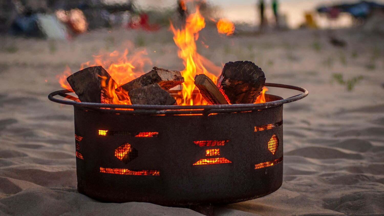 Why You Should Order Kiln Dried Logs This Summer