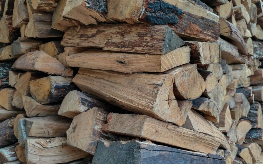 Hardwood or Softwood: Choosing the Right Firewood for Your Fire